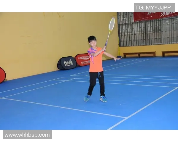 南京羽毛球队个人能力排行榜第六名展现实力与潜力的完美结合